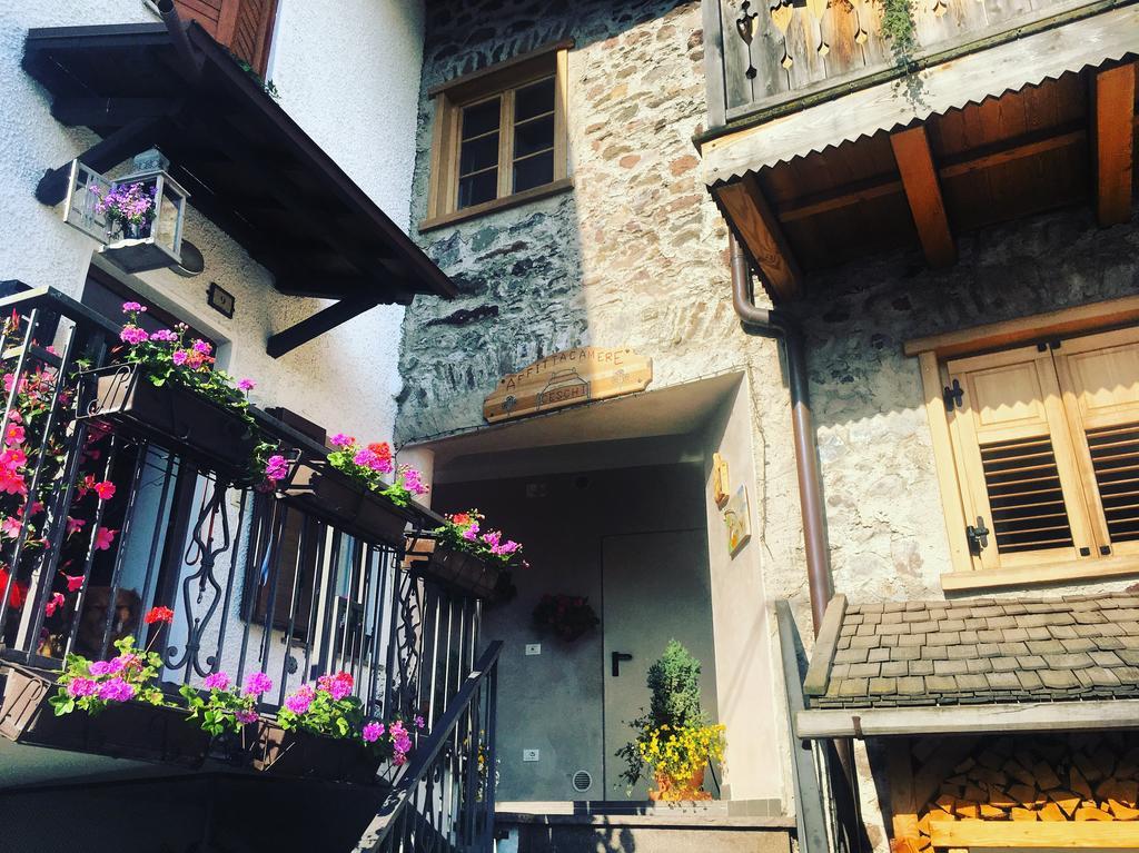 Affittacamere Ceschi Базельга-ди-Пине Экстерьер фото